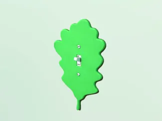 Light Switch Wall Plate Cover - English Leaf
