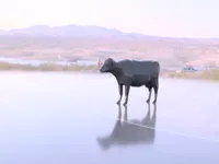 Vache low poly — photo 1