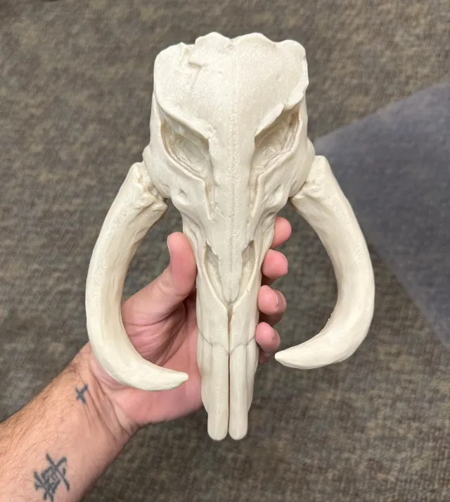 Mythosaur Skull Mandalorian