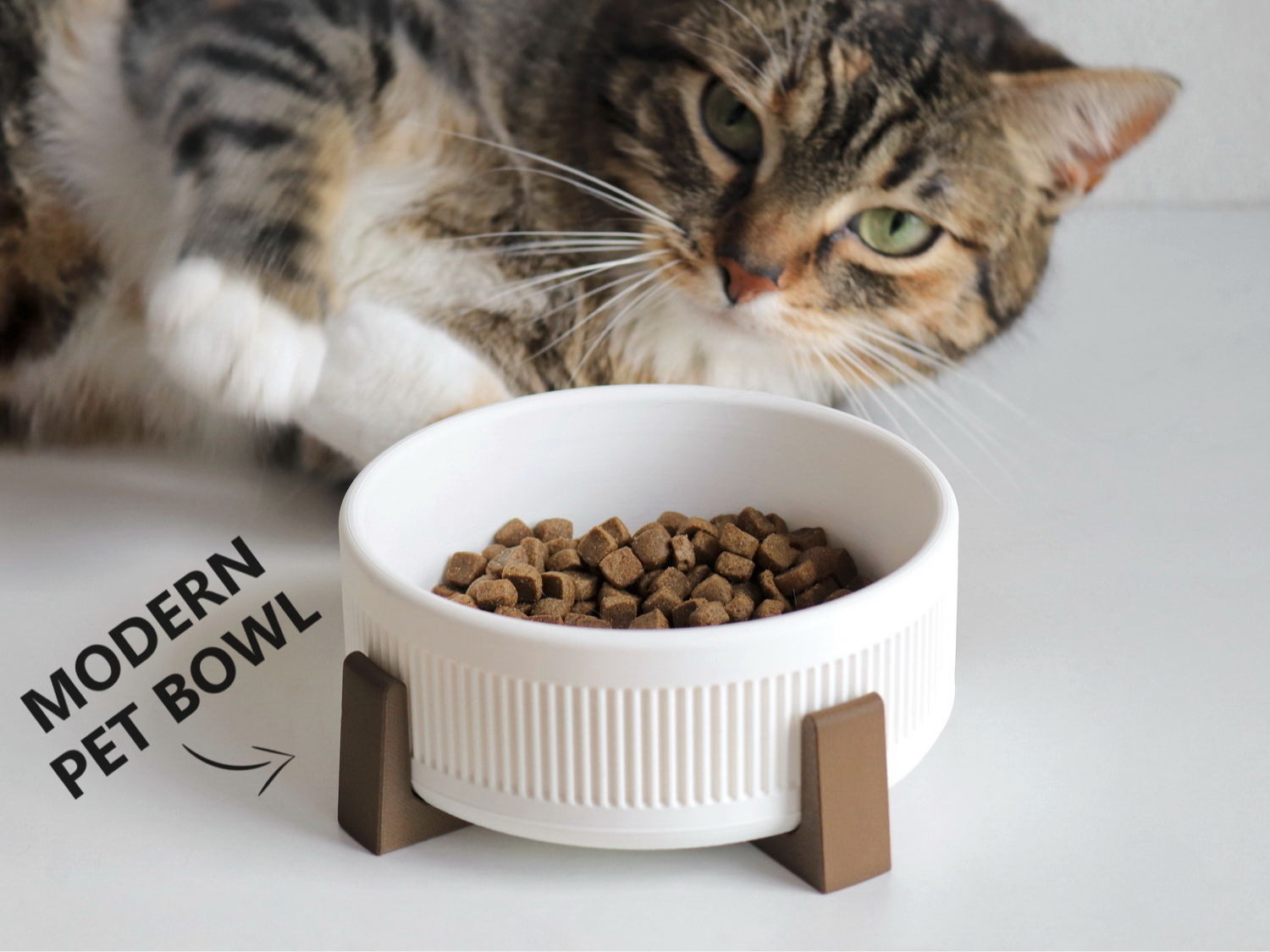 Midcentury Modern Pet Bowl