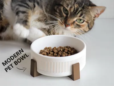Midcentury Modern Pet Bowl