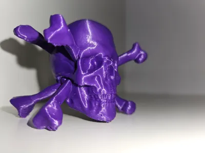 FC St. Pauli Skull
