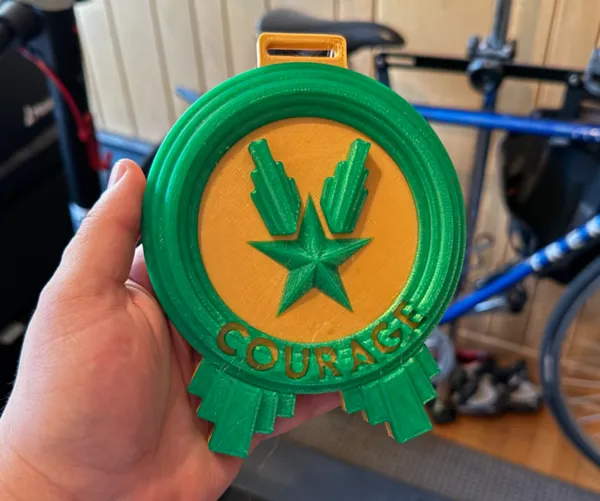 https://makerworld.bblmw.com/makerworld/model/US85feb5e9e2c618/design/2024-12-20_00afc3bc1b9f98.jpeg