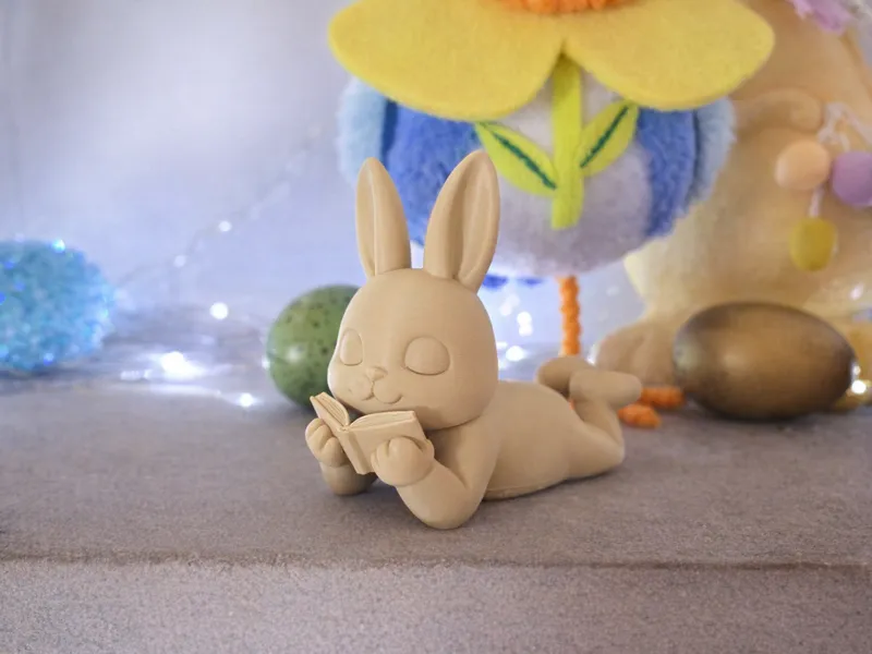 Curious Bunny