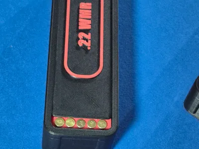 .22 WMR Ammo container