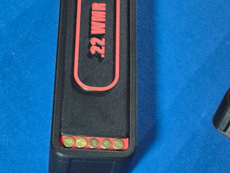 .22 WMR Ammo container