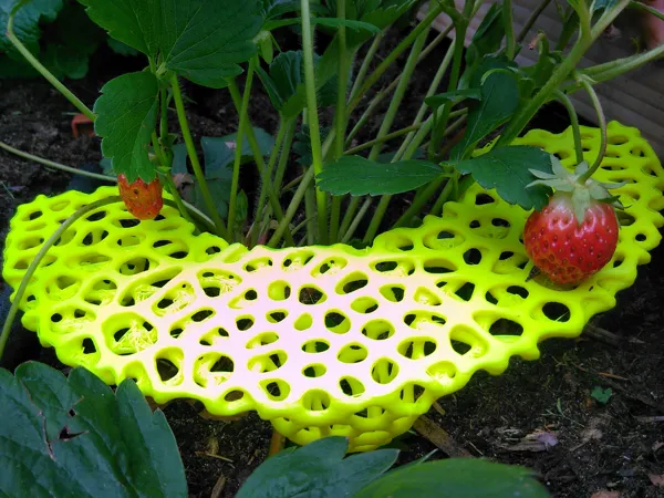 https://makerworld.bblmw.com/makerworld/model/US860e82d71339f2/design/2025-05-18_a84ade5fe8f5c8.jpg