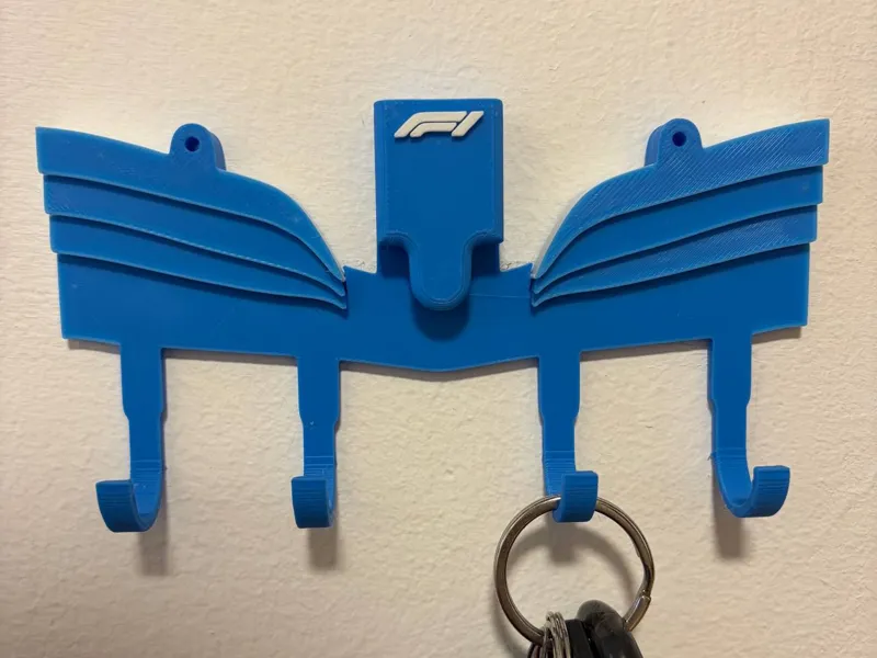 Formula One Front Wing Key Hanger | Lights Out!!