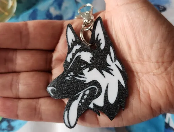 https://makerworld.bblmw.com/makerworld/model/US86158c1289fa93/design/2025-01-03_c82d771d75868.jpg