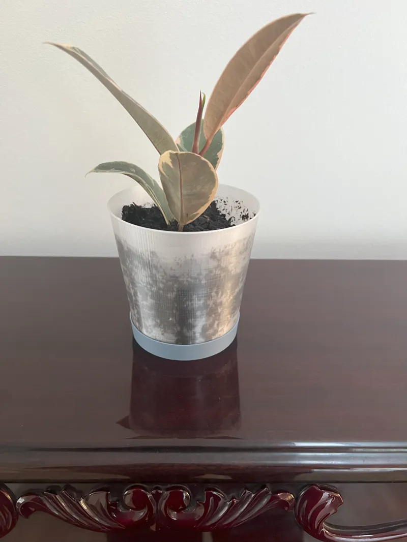 Parametric (Orchid) Pot