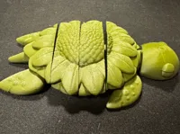 Flexi sunflower turtle