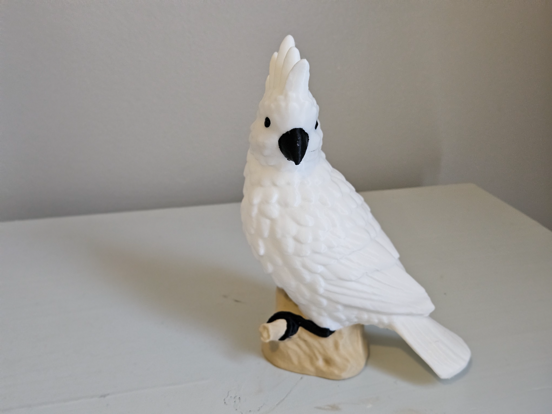 Cockatoo (AMS and Plain Versions)