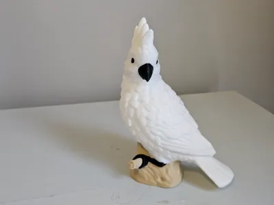 Cockatoo (AMS and Plain Versions)