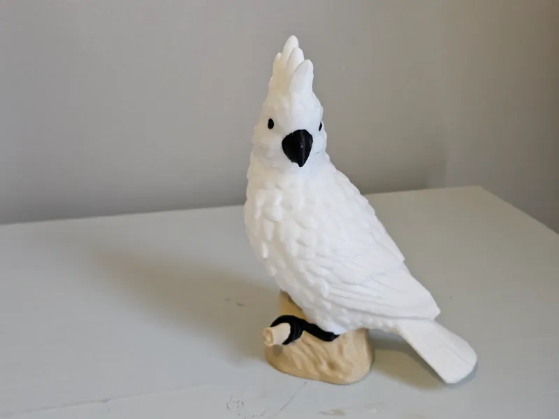 Cockatoo (AMS and Plain Versions)