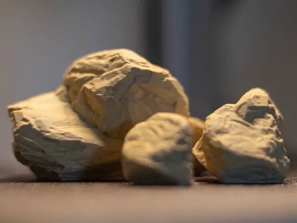 https://makerworld.bblmw.com/makerworld/model/US8621c232772df5/design/2025-01-10_1b25a34b68d2c.jpg