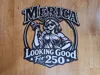 0.08mm layer, 2 walls, 100% infill