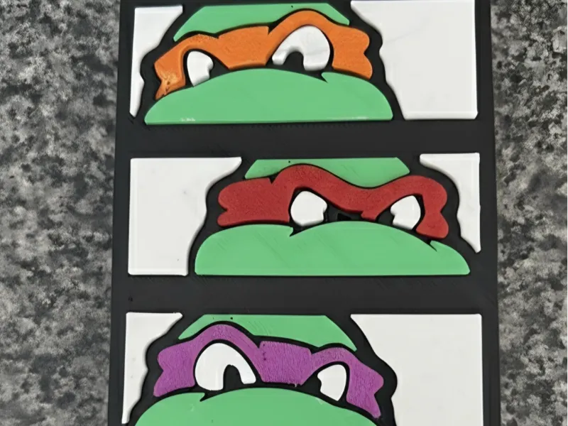 Turtles box model