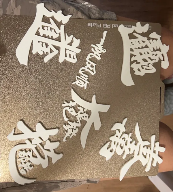 https://makerworld.bblmw.com/makerworld/model/US86295e7e895665/design/2024-08-03_d1036155bb1cd.jpg