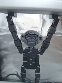 PLA-0.2mm layer, 2 walls, 7% infill