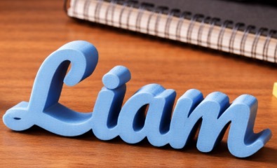 Miniatura 7 do modelo 3D Custom name 