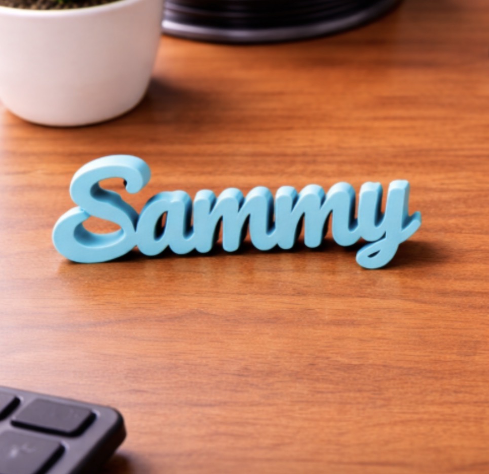 Miniatura 13 do modelo 3D Custom name 
