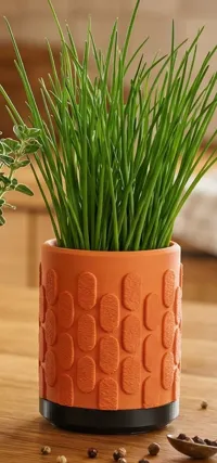 Beans pot 0.2mm layer, 2 walls, 15% infill