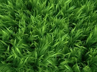 grass background playmat