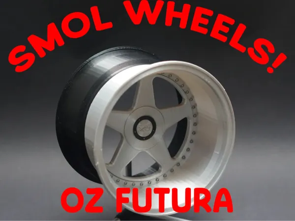 https://makerworld.bblmw.com/makerworld/model/US863577a466119e/design/2025-02-02_c52060e59897d.jpg