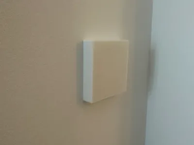 GIRA Switch Cover (Single)