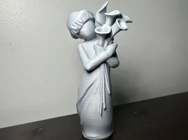 https://makerworld.bblmw.com/makerworld/model/US86390274569b74/design/564c23dd48e9bf0e.jpeg