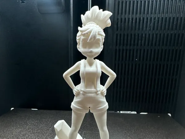 https://makerworld.bblmw.com/makerworld/model/US863a3580e550ff/design/2025-09-26_ab8602a9e667e.png