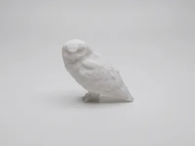 Hedwig Harry Potter Owl