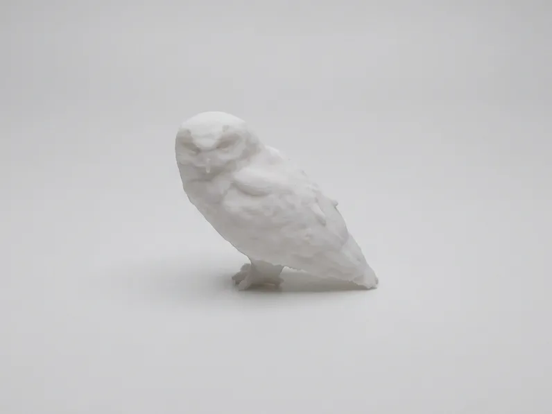 Hedwig Harry Potter Eule