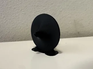 Spinning Top