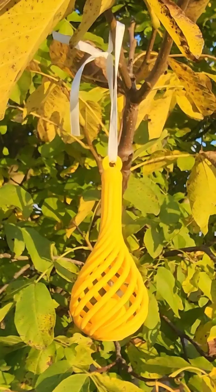 Tree Top Photography Tree Fall Decoration - Free 3D Print Model - MakerWorld