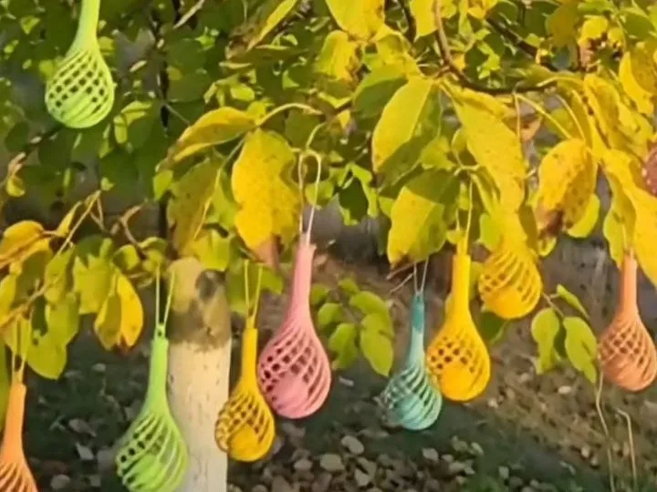 Tree Top Photography Tree Fall Decoration - Free 3D Print Model - MakerWorld