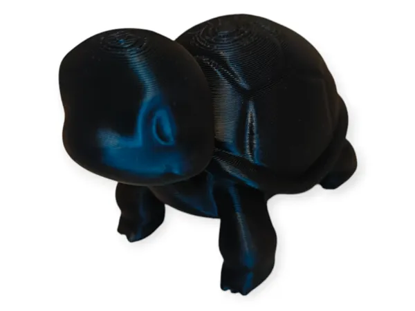 Petite tortue mignonne