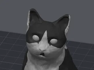 cat laura