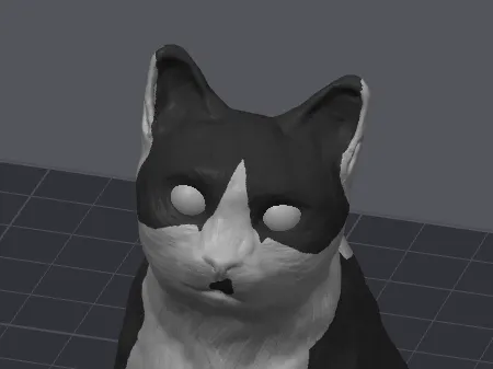 cat laura