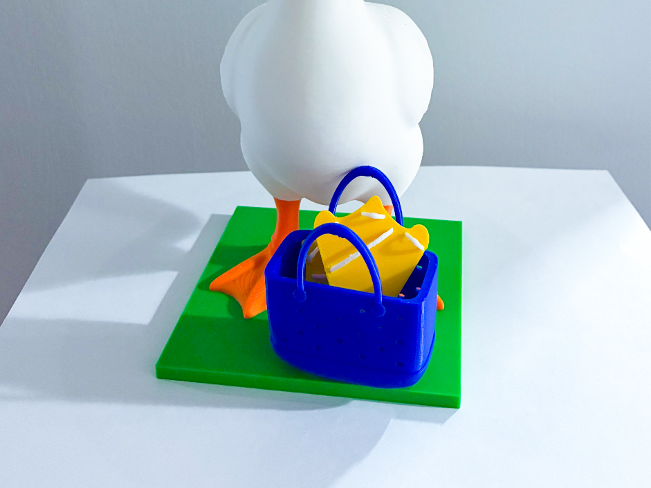 Bogg Bag and Flip Flops Desk Goose Gear