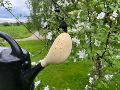 watering can rose
