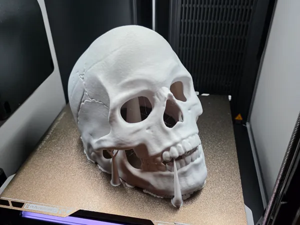https://makerworld.bblmw.com/makerworld/model/US86505e94548e89/design/2025-11-18_98eeb2e7babcf8.jpg
