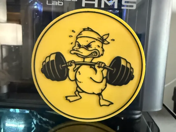https://makerworld.bblmw.com/makerworld/model/US86516a5d8806e4/design/2026-01-15_444ee4948a5588.jpeg