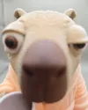 Capy, No AMS Profile