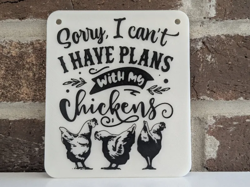 PLANS WITH MY CHICKENS