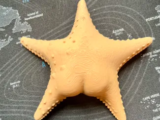 Big Butt Starfish Fridge Magnet