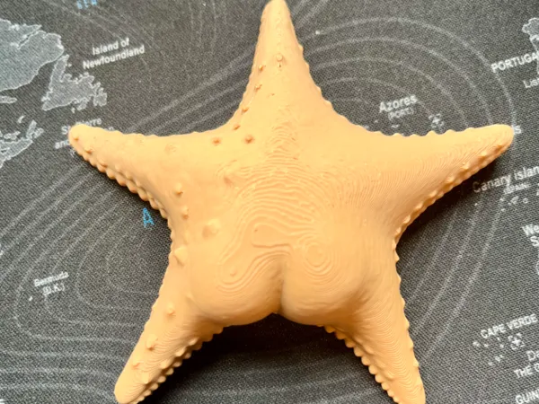 https://makerworld.bblmw.com/makerworld/model/US865fa72ef522d8/design/2025-09-18_d9018e433f18.jpeg