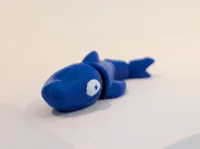 shark surprise