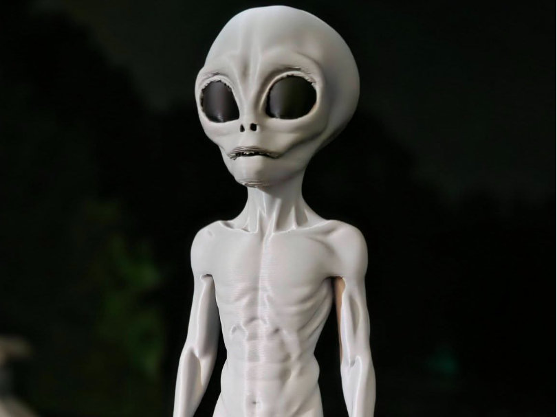 THEM 1947 Roswell Grey Disclosure Day Alien 
