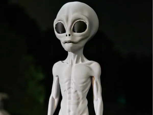 https://makerworld.bblmw.com/makerworld/model/US866b867eb74f85/design/63fb853912661e60.jpg